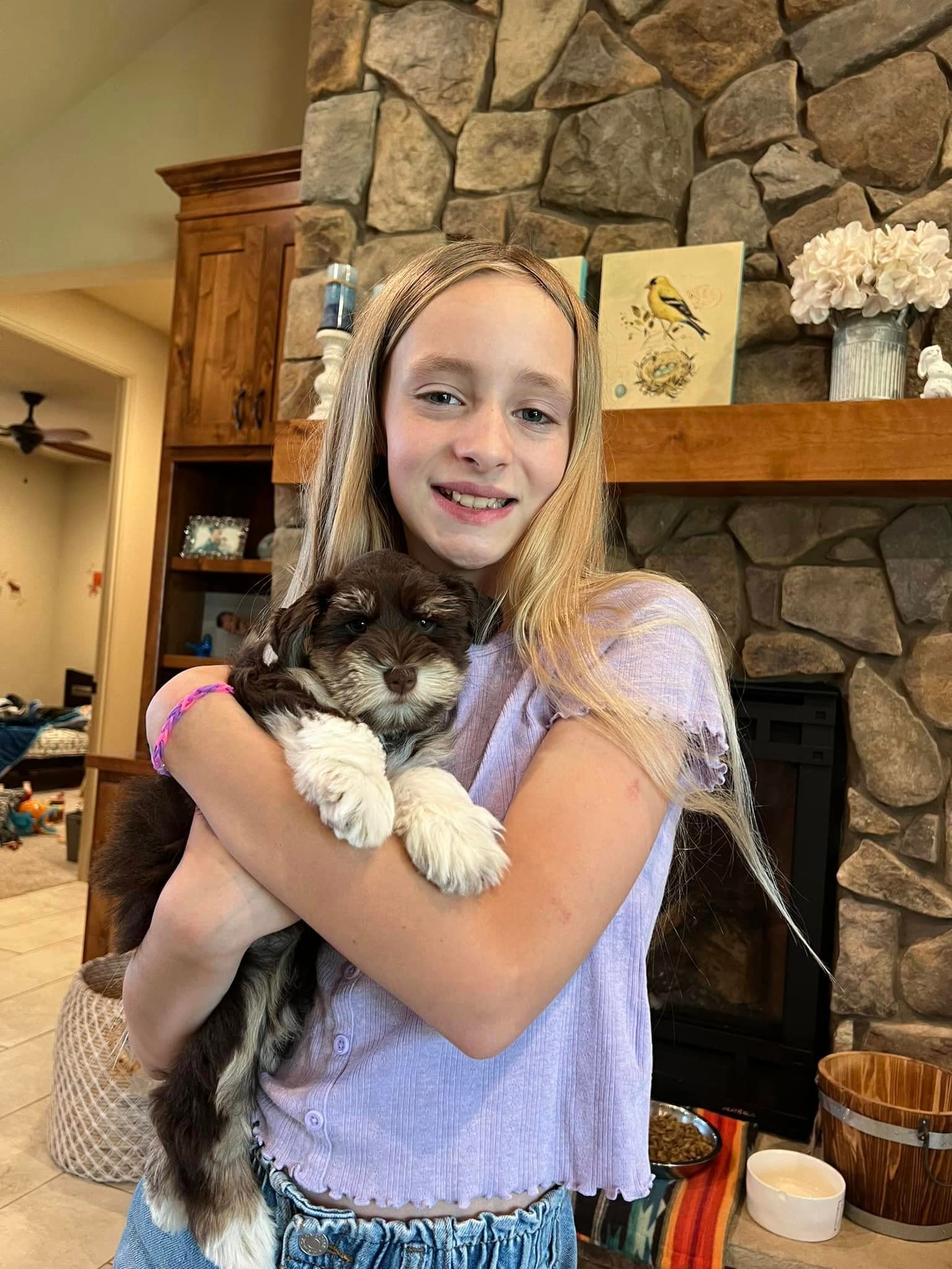 A young girl cuddling a chocolate Schnauzer puppy